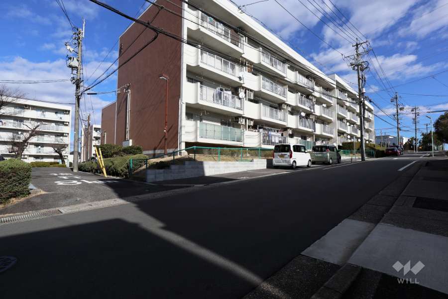 敷地南側と西側の前面道路（南西側から）
