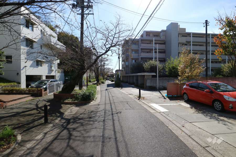 敷地西側の前面道路。交通量の少ない通りです。