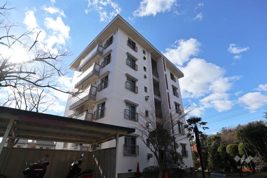 相生山団地47棟の外観（北東側から）