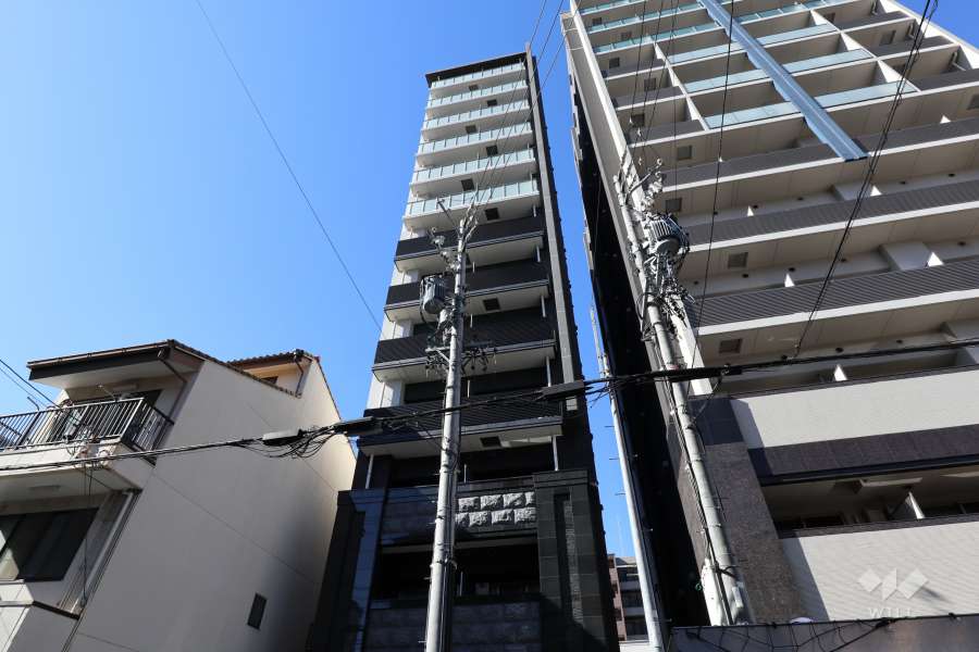 外観（東側から）