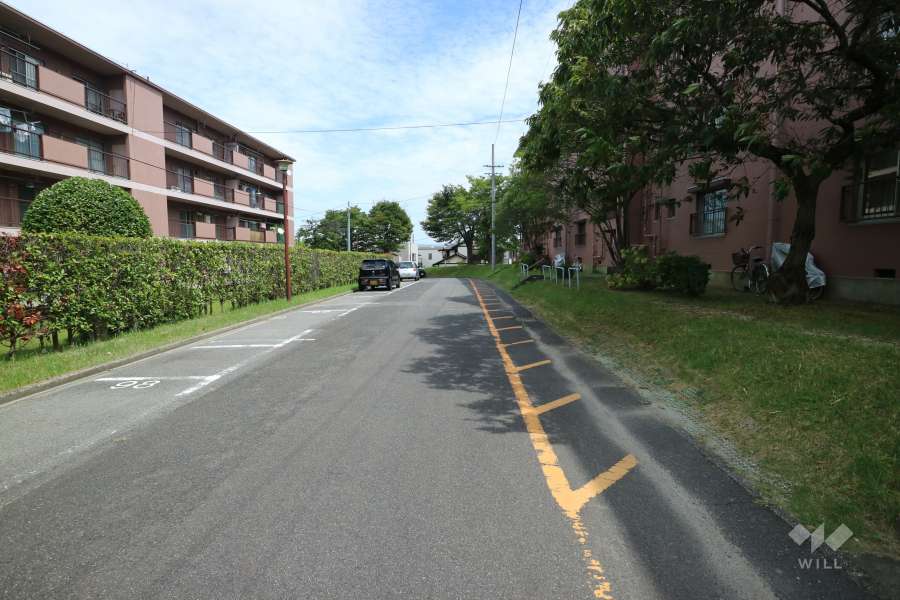 敷地の北側前面道路（西側から）