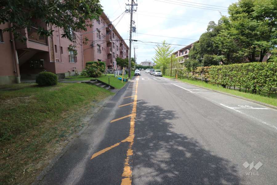 敷地の北側前面道路（東側から）