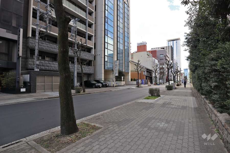 敷地北側の前面道路（東側から）