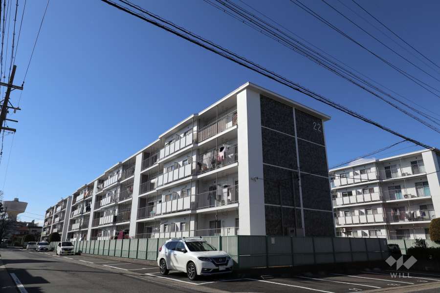 桃山第四住宅22号棟の外観（北東側から）