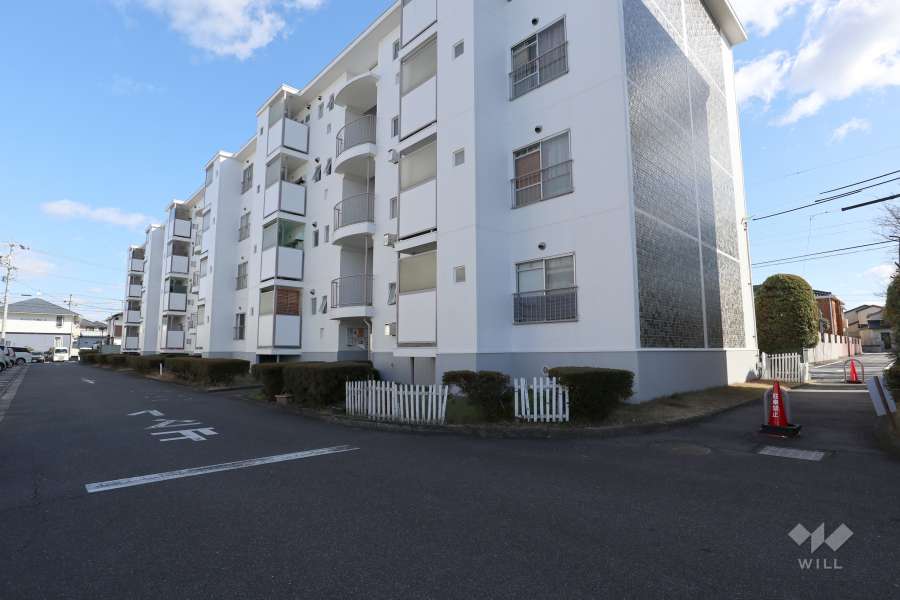 敷地内の通路