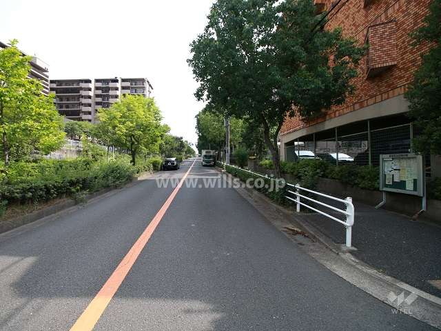 敷地東側の前面道路（北側から）