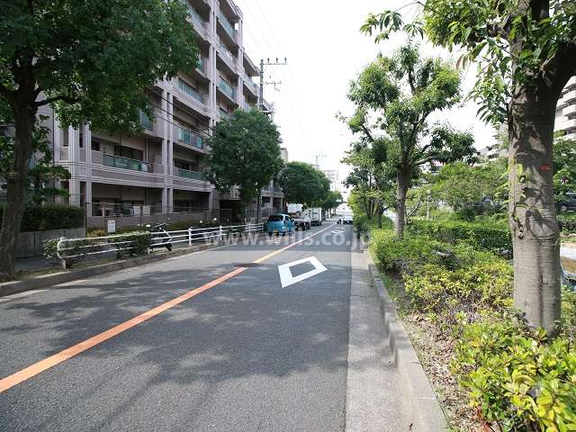 敷地東側の前面道路（南側から）