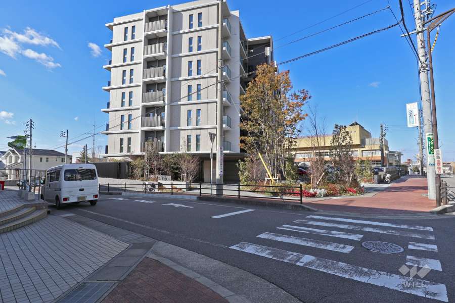 敷地東側。右端は北側前面道路で、二車線のバス通りです。