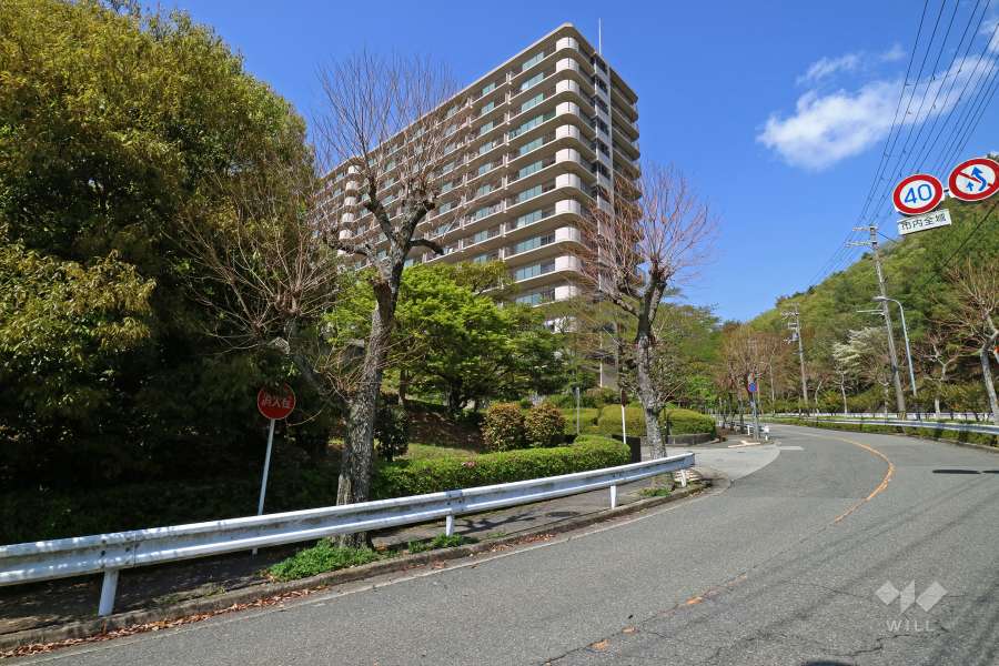 敷地北側の前面道路（南東側から）