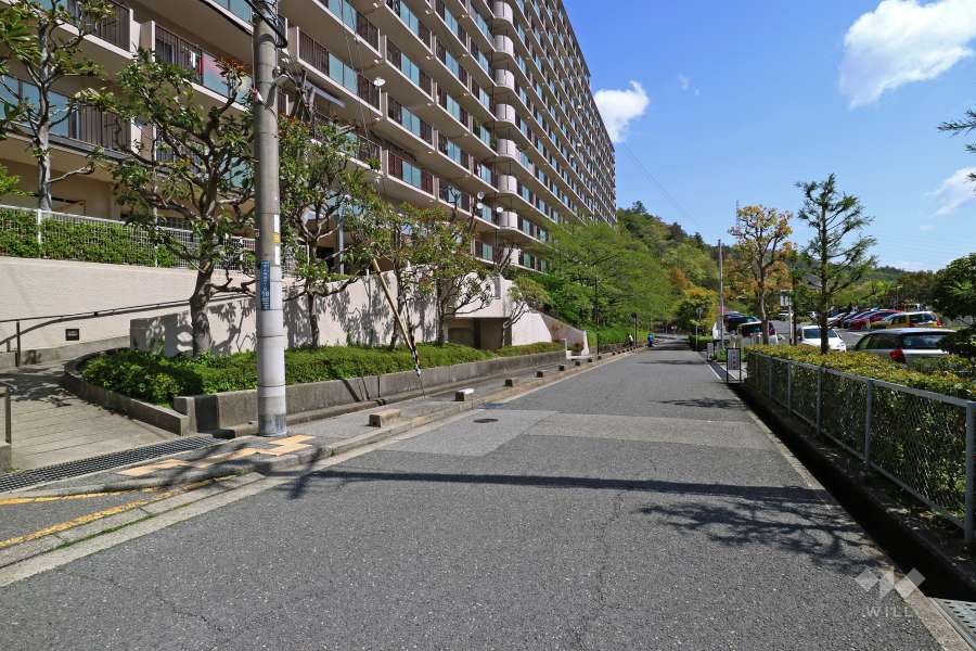 敷地南東側の前面道路（南西側から）