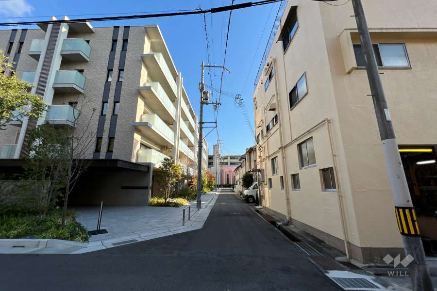 敷地西側の前面道路(北側から)