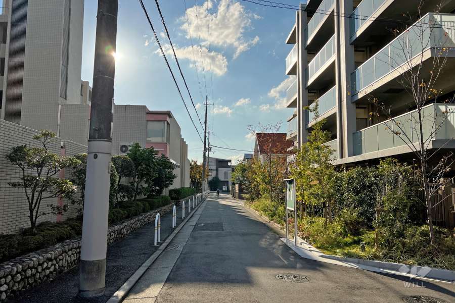 敷地南側の前面道路(東側から)