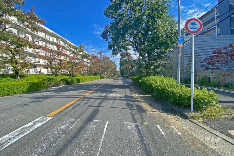 敷地北側の前面道路