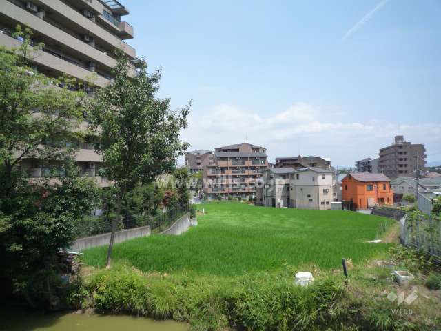 敷地の南側。周辺には住宅の他、田畑や竹林があります。