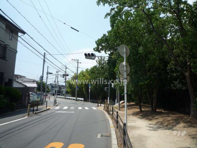 敷地北側の前面道路。道を挟んで緑地が広がっています。