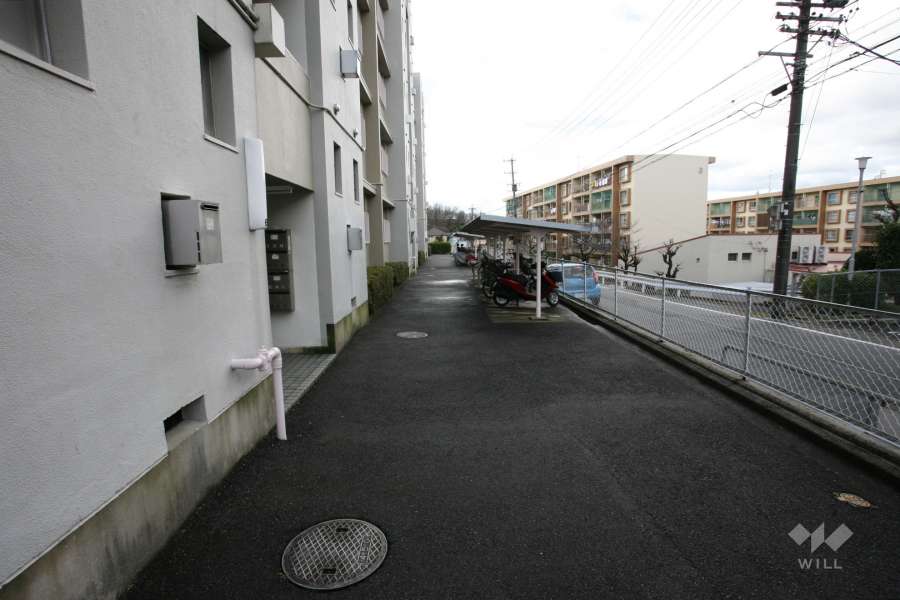 敷地内の通路
