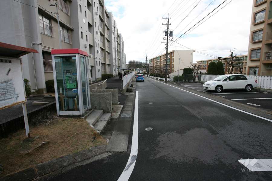 敷地北西側の前面道路（北東側から）