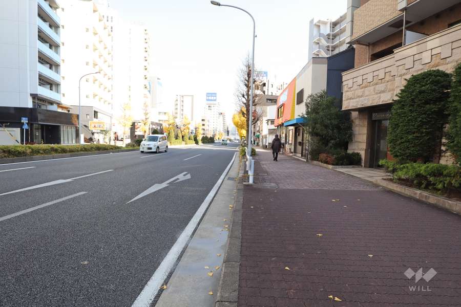 敷地北側の前面道路(西側から)