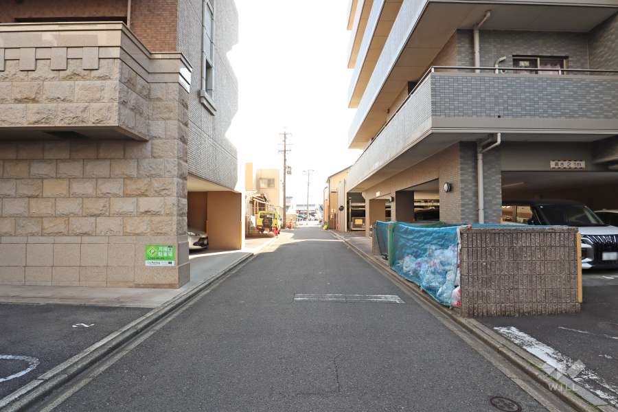 敷地西側の前面道路(北側から)