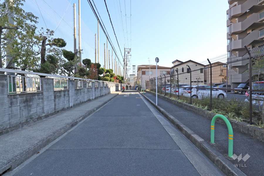 敷地北側の前面道路（西側から）