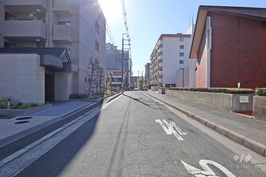 敷地西側の前面道路（北側から）