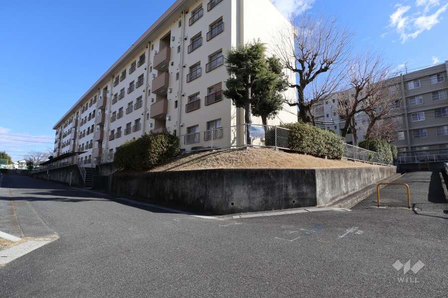 敷地内の通路