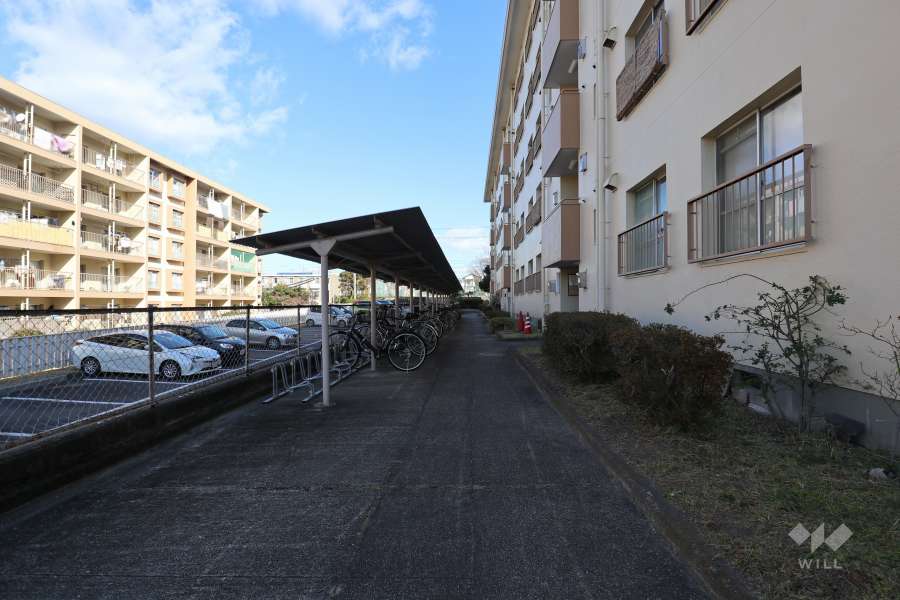 敷地内の通路
