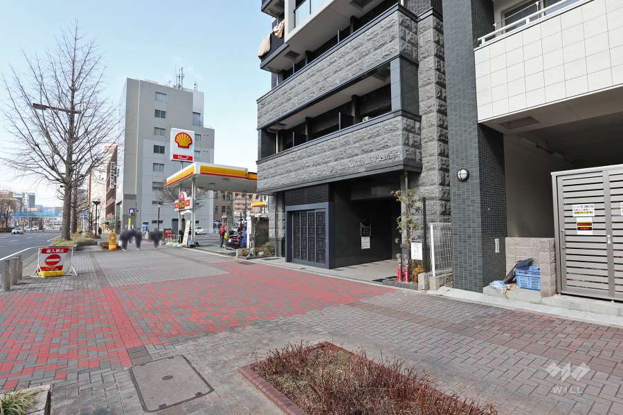 敷地南側は桜通りに面しています。