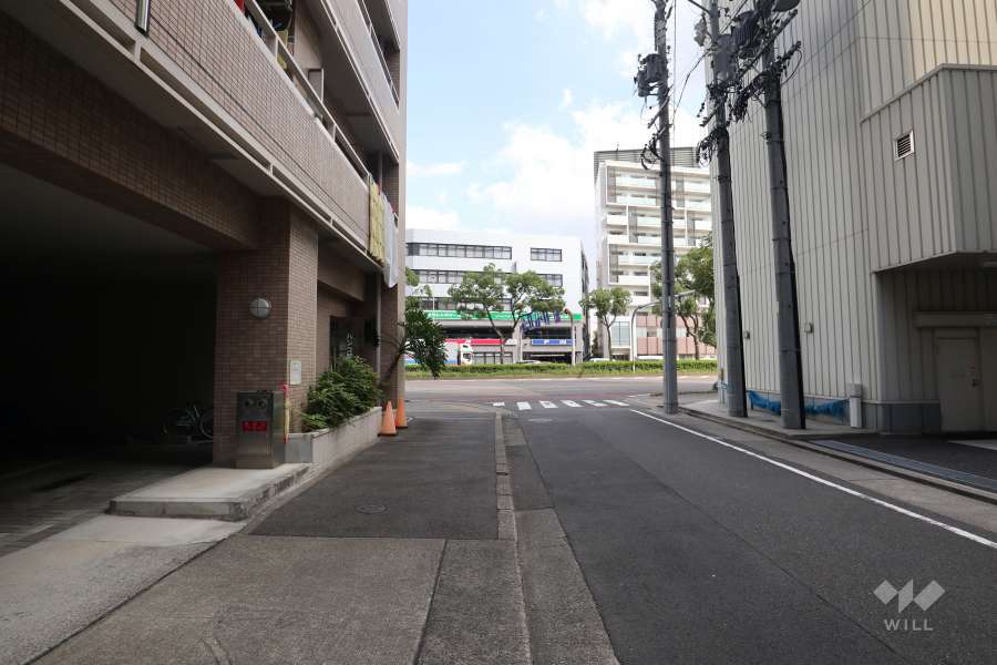 敷地南側の前面道路(西側から)