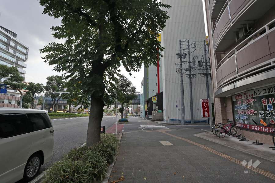 敷地東側の前面道路(北側から)