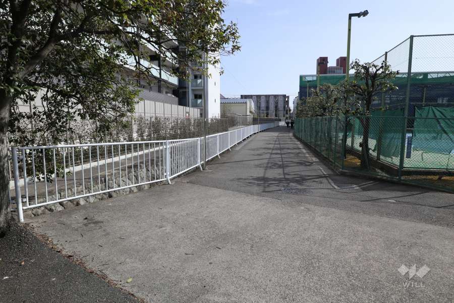 敷地西側の歩道（北側から）