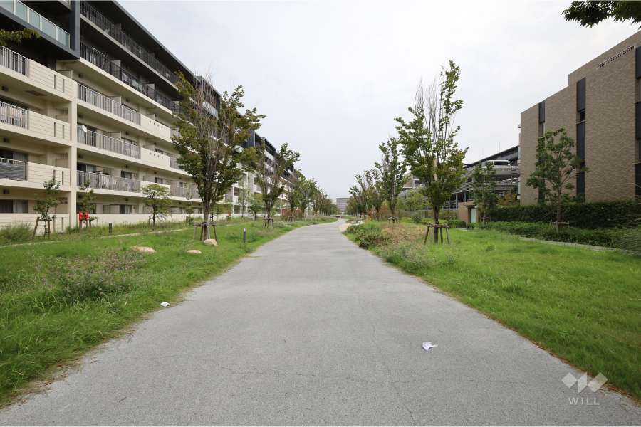 敷地北東側通路（北西側から）