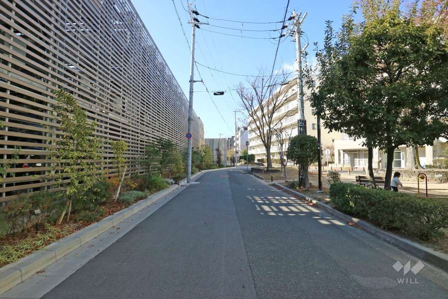 敷地北側の前面道路（西側から）