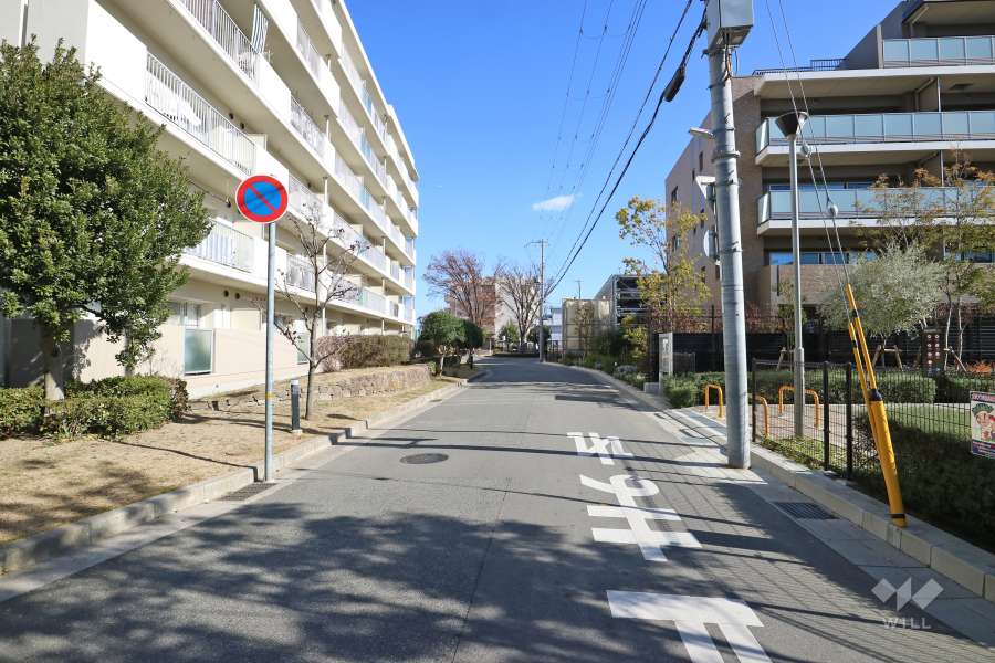 敷地南側の前面道路（東側から）