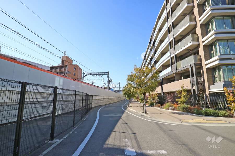 敷地南側の前面道路（西側から）