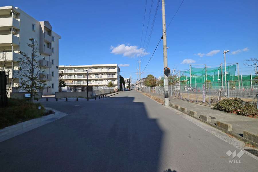 敷地西側の前面道路（北側から）