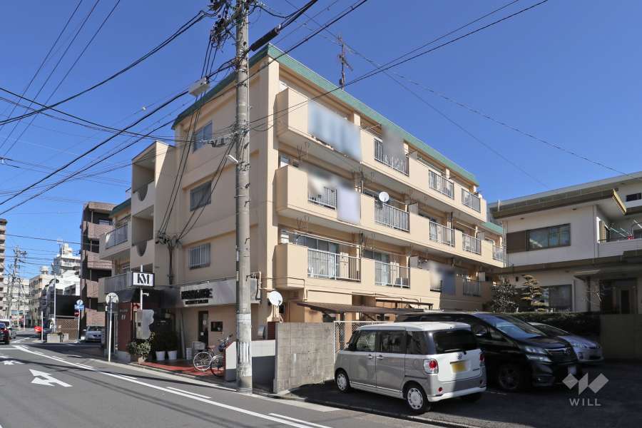 グリーンコーポ豊国の外観(南西側から）