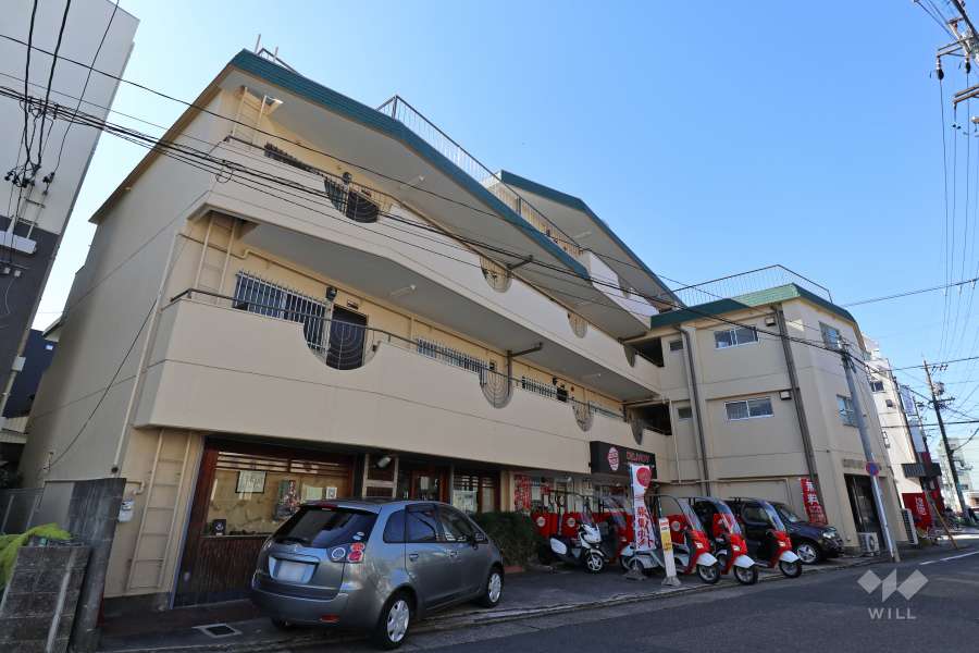 グリーンコーポ豊国の外観(北東側から）