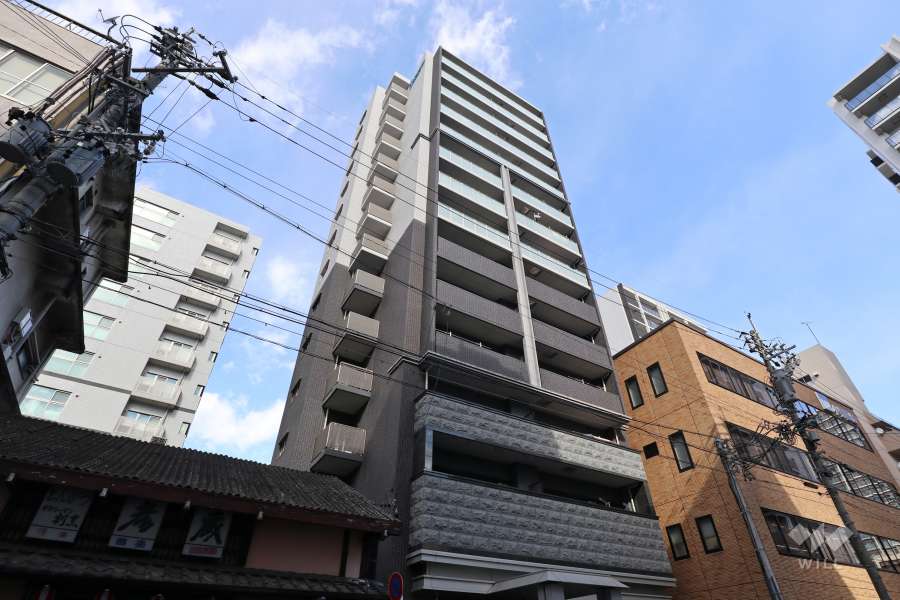 プレサンス-ロジェ-丸の内-PRIME-CASAの外観（南西側から）