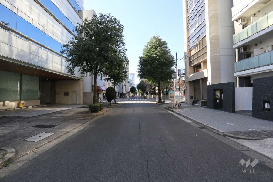 敷地南側の前面道路
