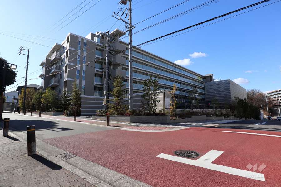 敷地北側の前面道路（北東側から）
