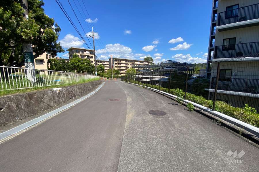 敷地西側の前面道路（南側から）