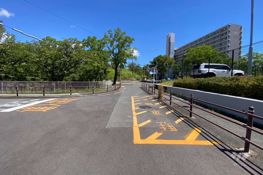 敷地北側の前面道路（西側から）