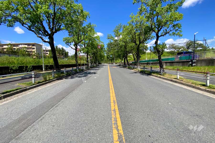 敷地東側の前面道路（南側から）