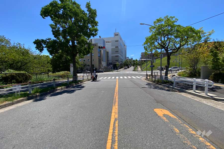 敷地東側の前面道路（北側から）