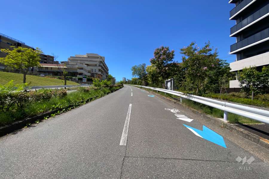 敷地南側の前面道路（東側から）