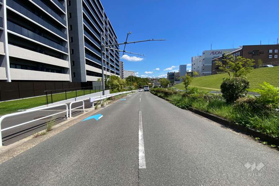 敷地南側の前面道路（西側から）