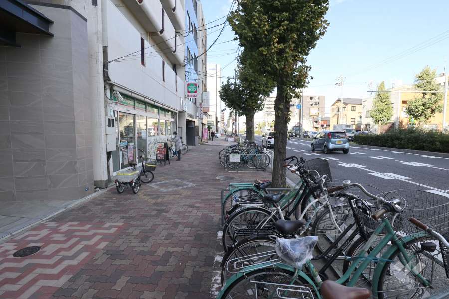 敷地東側の前面道路（南側から）