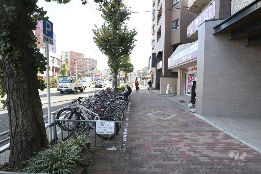 敷地東側の前面道路（北側から）