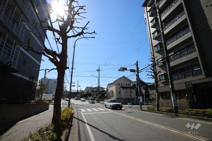 敷地西側の前面道路（北側から）